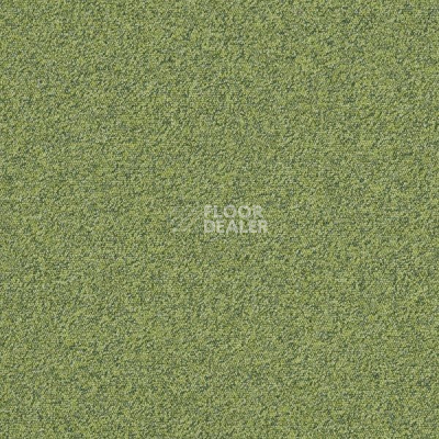 Ковровая плитка Interface Biosfera Boucle 7889 Smeraldo фото 1 | FLOORDEALER